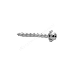 STAS Minirail Clipschroef