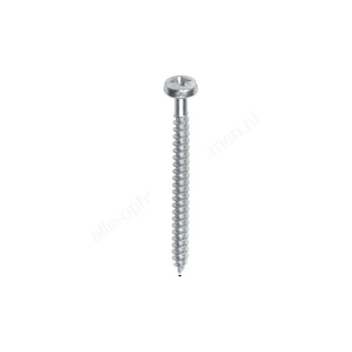STAS bolkop Rail Schroef - 3.5x45mm